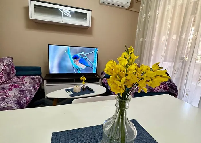 Lovely Apartment In The Center
